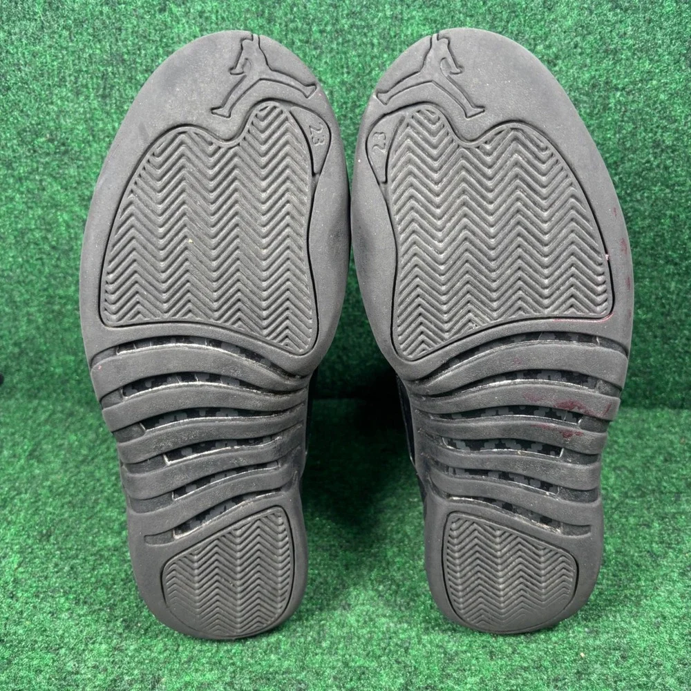 Jordan 12 retro